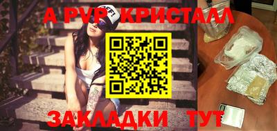 стаф Новокубанск