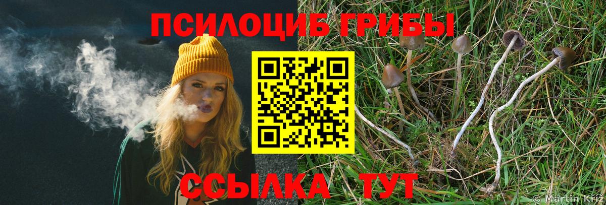 Псилоцибиновые грибы GOLDEN TEACHER Тосно