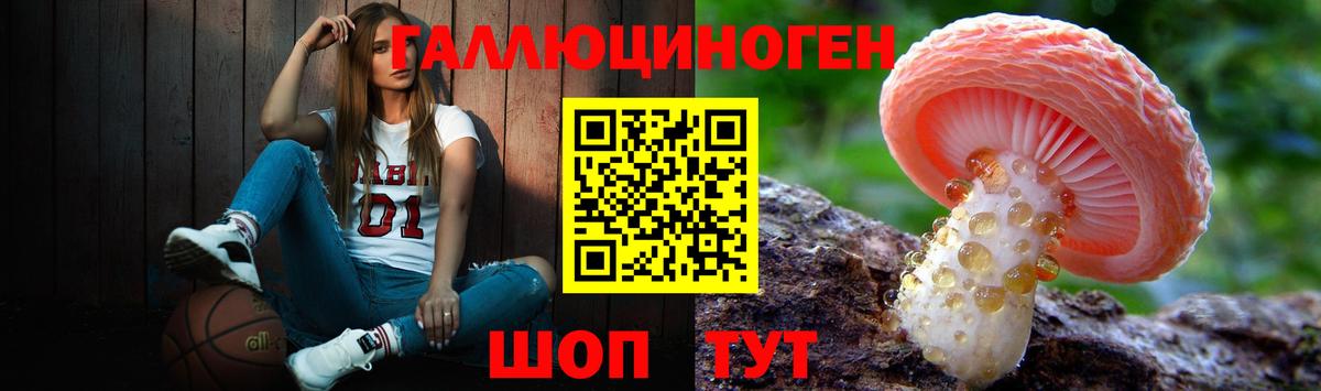 Галлюциногенные грибы Magic Shrooms  Вход с VPN  Тосно  Галлюциногенные грибы MAGIC MUSHROOMS 