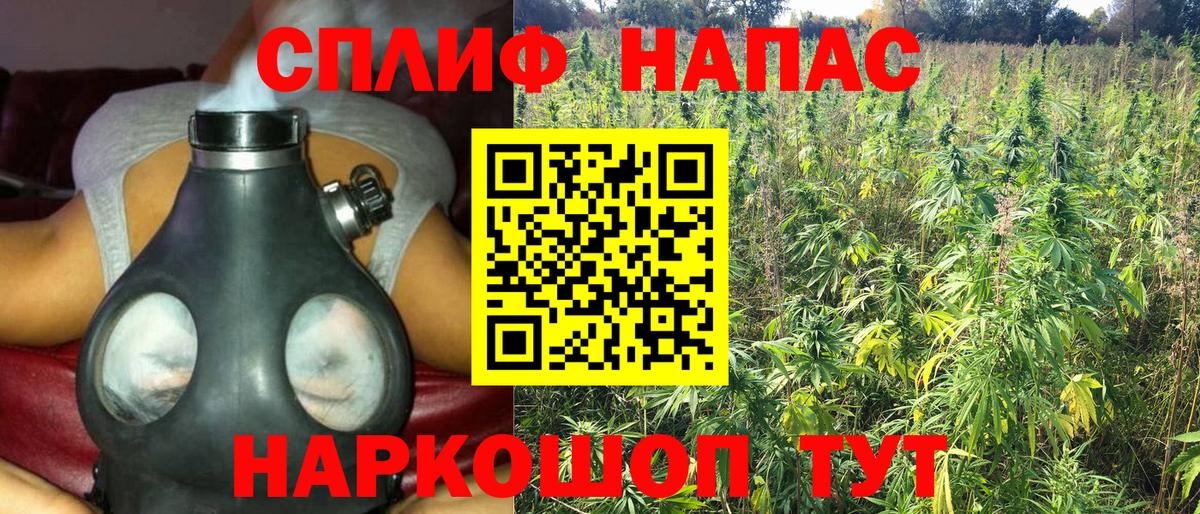 Марихуана план  Канабис планчик  Тосно  МАРИХУАНА White Widow  МАРИХУАНА THC 21%  Вход с VPN 